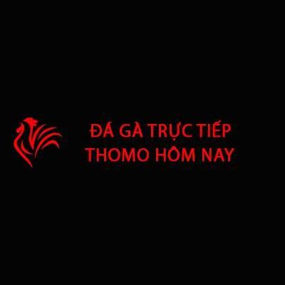 Đá Gà Trực Tiếp Thomo Hôm Nay 