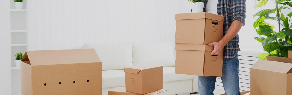 Better Removalists Adelaide 