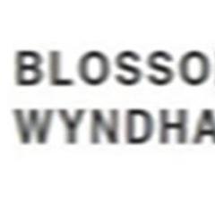 blossomof wyndham