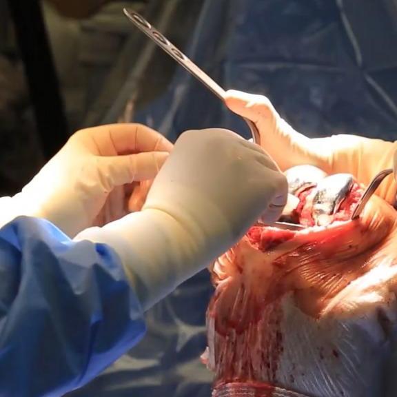 Elite Orthocare & Multispeciality 