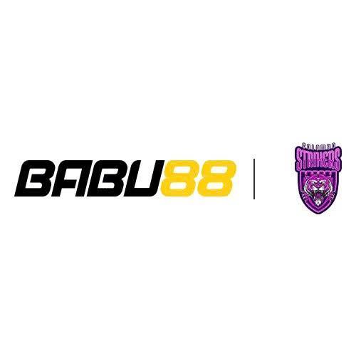 Babu88 llc