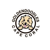 goldendoodl escapecorals