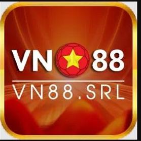 Vnn Srl