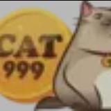 cat999 kim