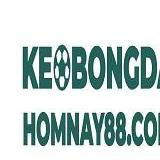 keobongdahomnay 88com