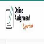 Online Assignment Expert