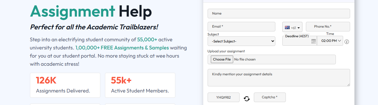 Online Assignment Expert