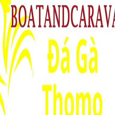 Đá Gà Trực Tiếp Thomo
