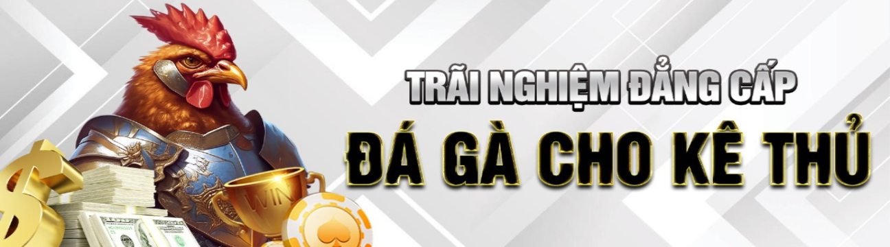 Nhà Cái AE888