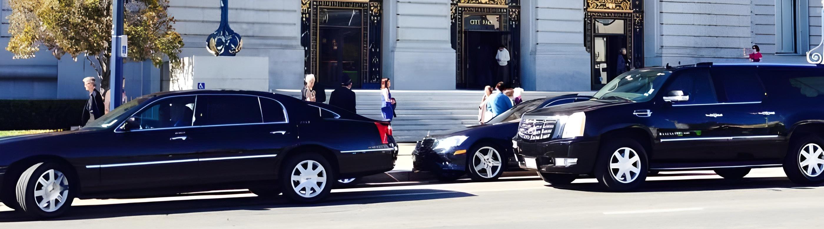 Elite Limousine Inc.