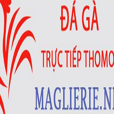 Đá Gà Trực Tiếp Thomo