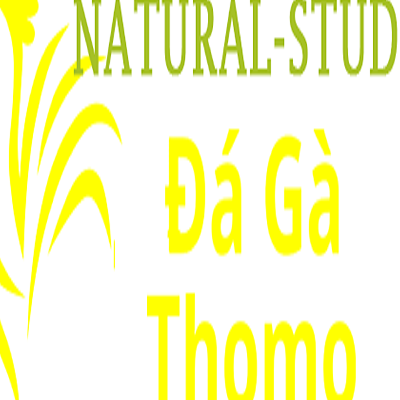 Đá Gà Trực  Tiếp Thomo