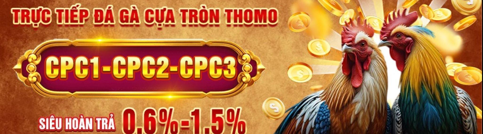 Đá Gà Trực Tiếp