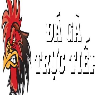 Đá Gà Trực Tiếp