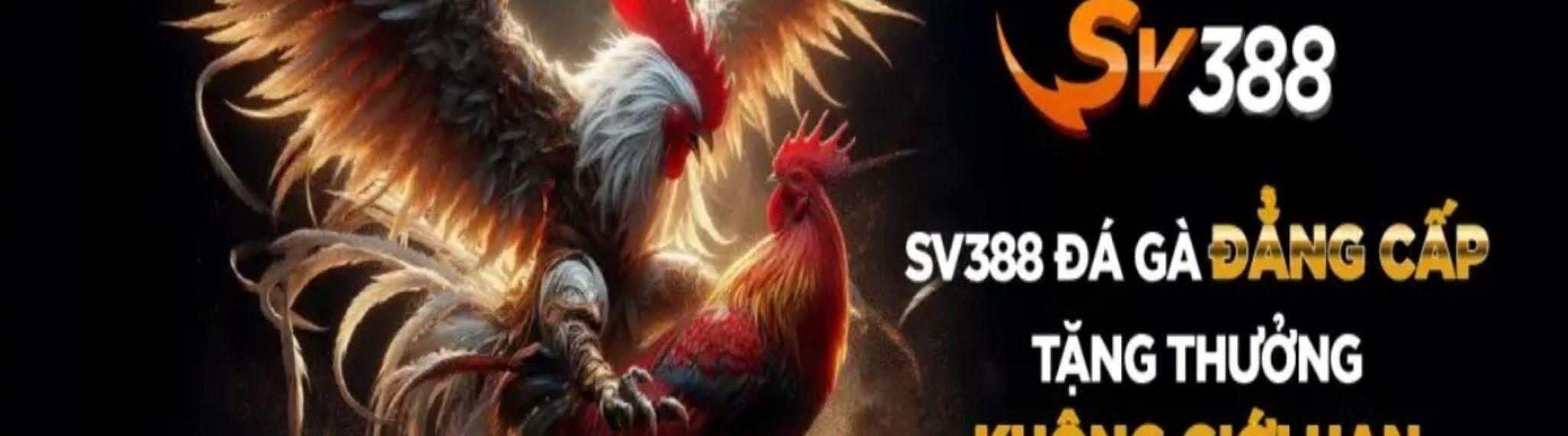 Sv388 date