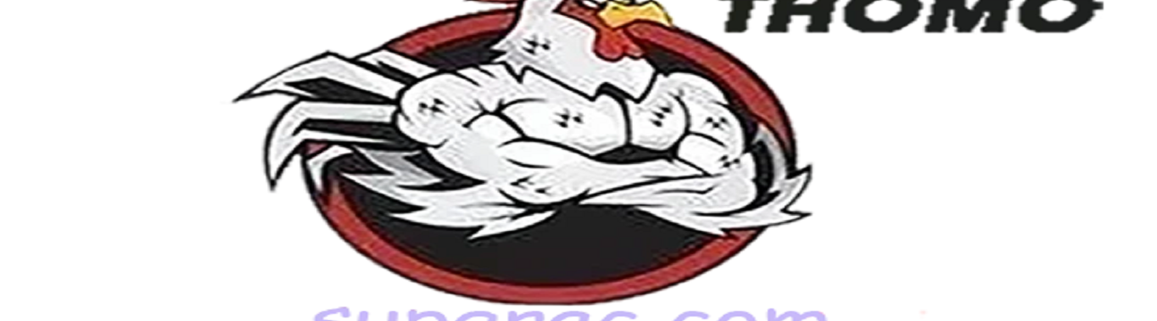 ĐÁ GÀ TRỰC TIẾP  THOMO