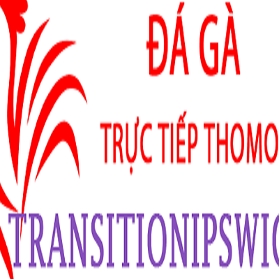 Đá Gà Trực Tiếp Thomo