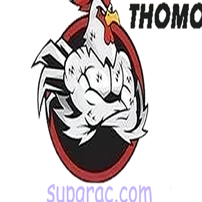 ĐÁ GÀ TRỰC TIẾP  THOMO