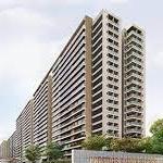 Prestige Evergreen