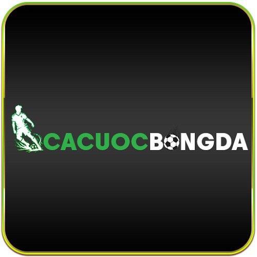Cá Cược Bóng đá