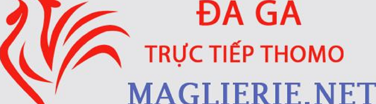 Đá Gà Trực Tiếp Thomo