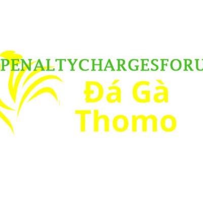 Đá Gà Trực Tiếp Thomo