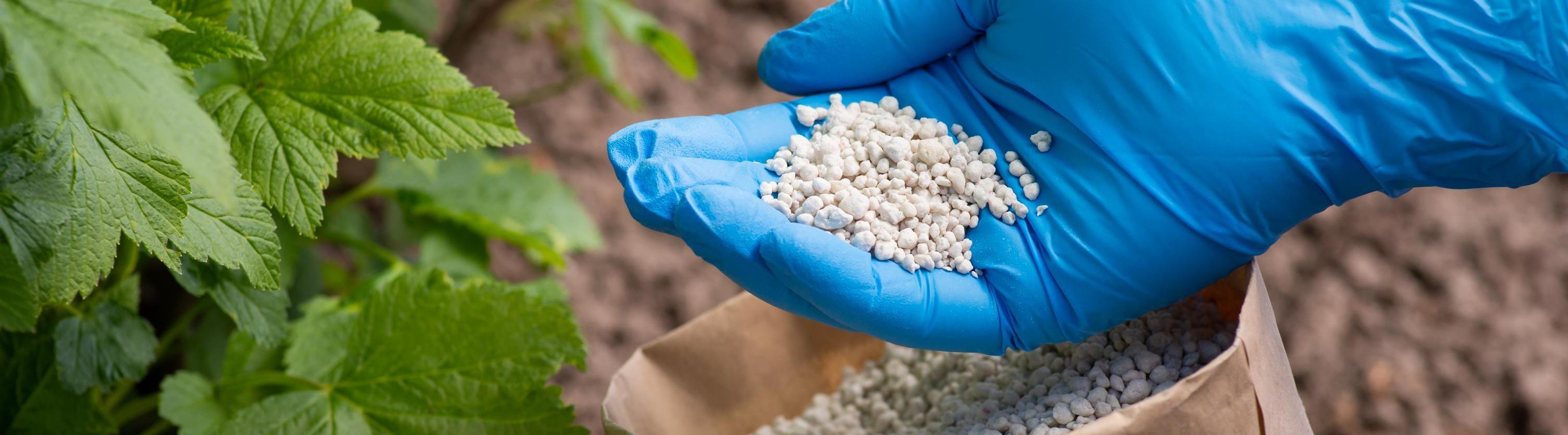 Emirates Bio  Fertilizer Factory