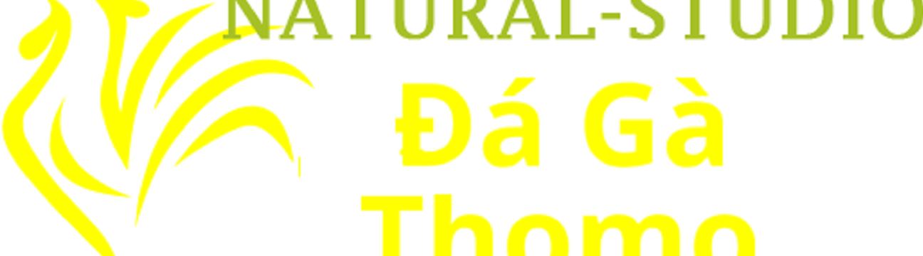 Đá Gà Trực  Tiếp Thomo