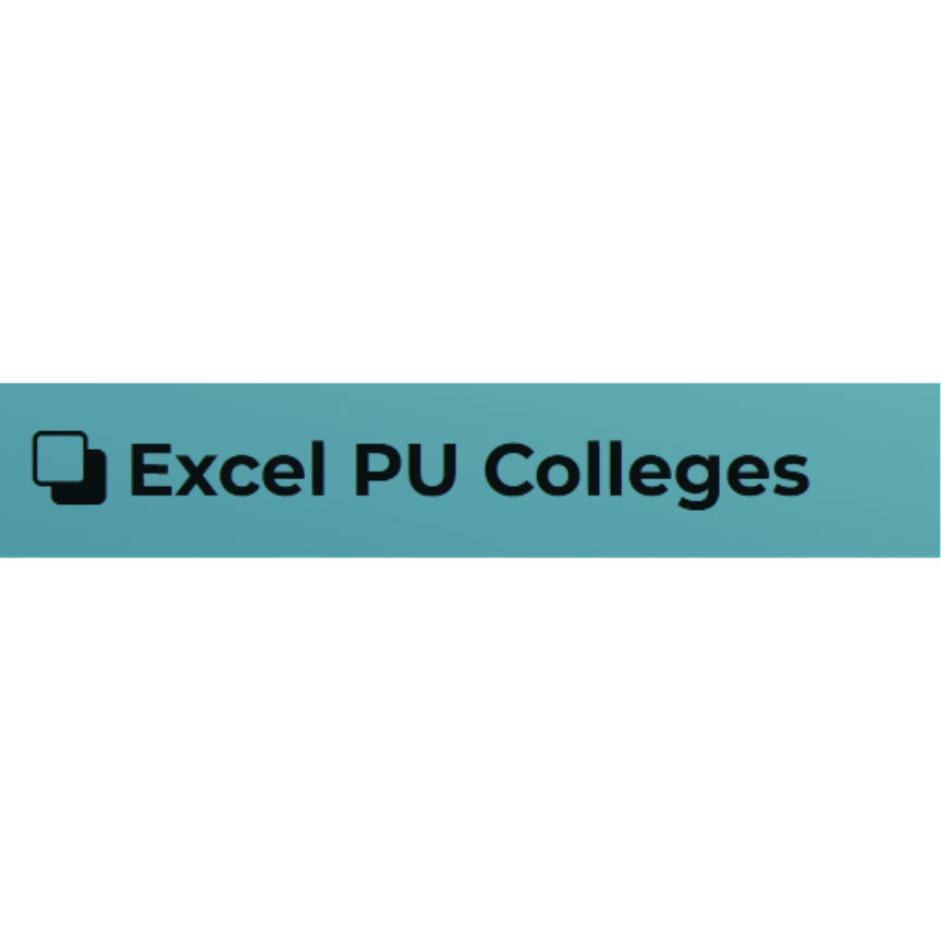 Excel Pucollege