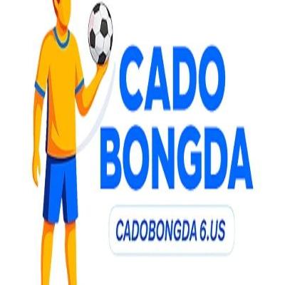 C&aacute; độ B&oacute;ng đ&aacute;