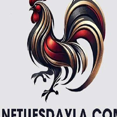 Đ&Aacute; G&Agrave; TRỰC TIẾP  THOMO RUN