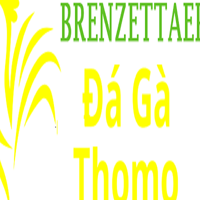 Đá Gà Trực Tiếp Thomo