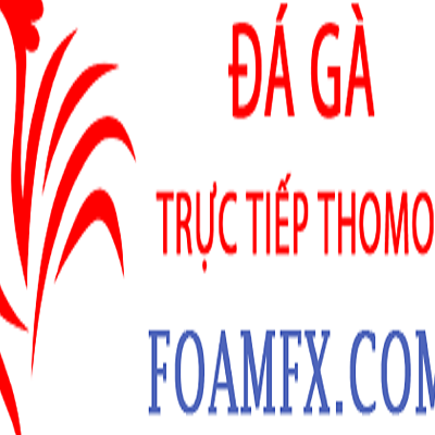 Đá Gà Trực Tiếp Thomo