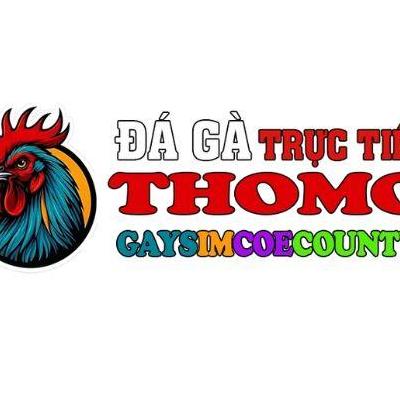 TRỰC TIẾP ĐÁ GÀ  THOMO