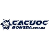 Cá Cược  Bóng đá