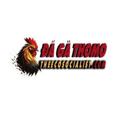 ĐÁ GÀ THOMO