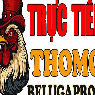 Đ&Aacute; G&Agrave; TRỰC TIẾP   THOMO H&Ocirc;M NAY