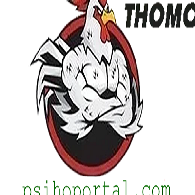 Đ&Aacute; G&Agrave;  TRỰC TIẾP