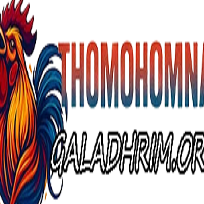 THOMOHOMNAY XEM TRỰC TIẾP Đ&Aacute; G&Agrave;