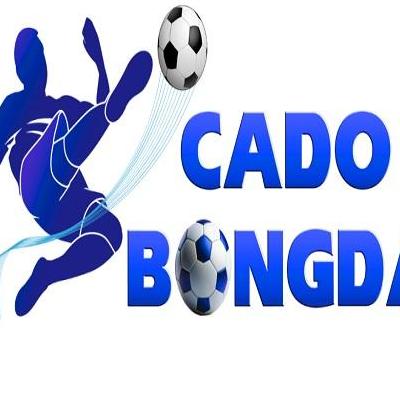 C&aacute; Cược  B&oacute;ng Đ&aacute;