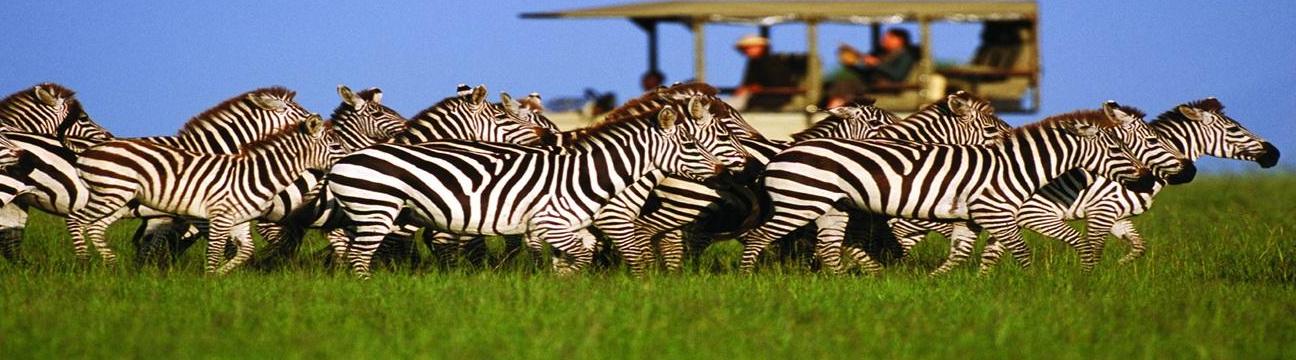 High Peaks Expeditions Ltd