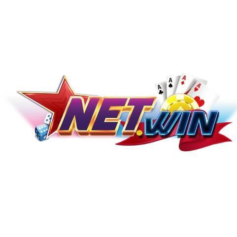 NETWINS VIN
