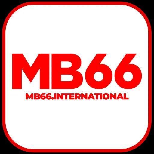Mb66 International