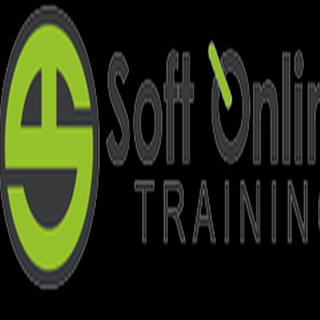 Soft Online Training