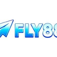 FLY 881