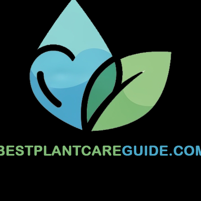 Best Plant Care Guide
