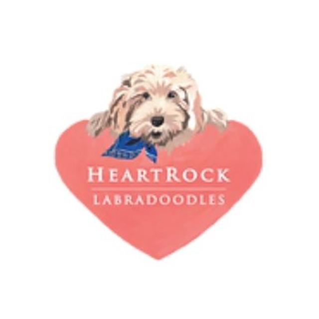 HeartRock  Labradoodles