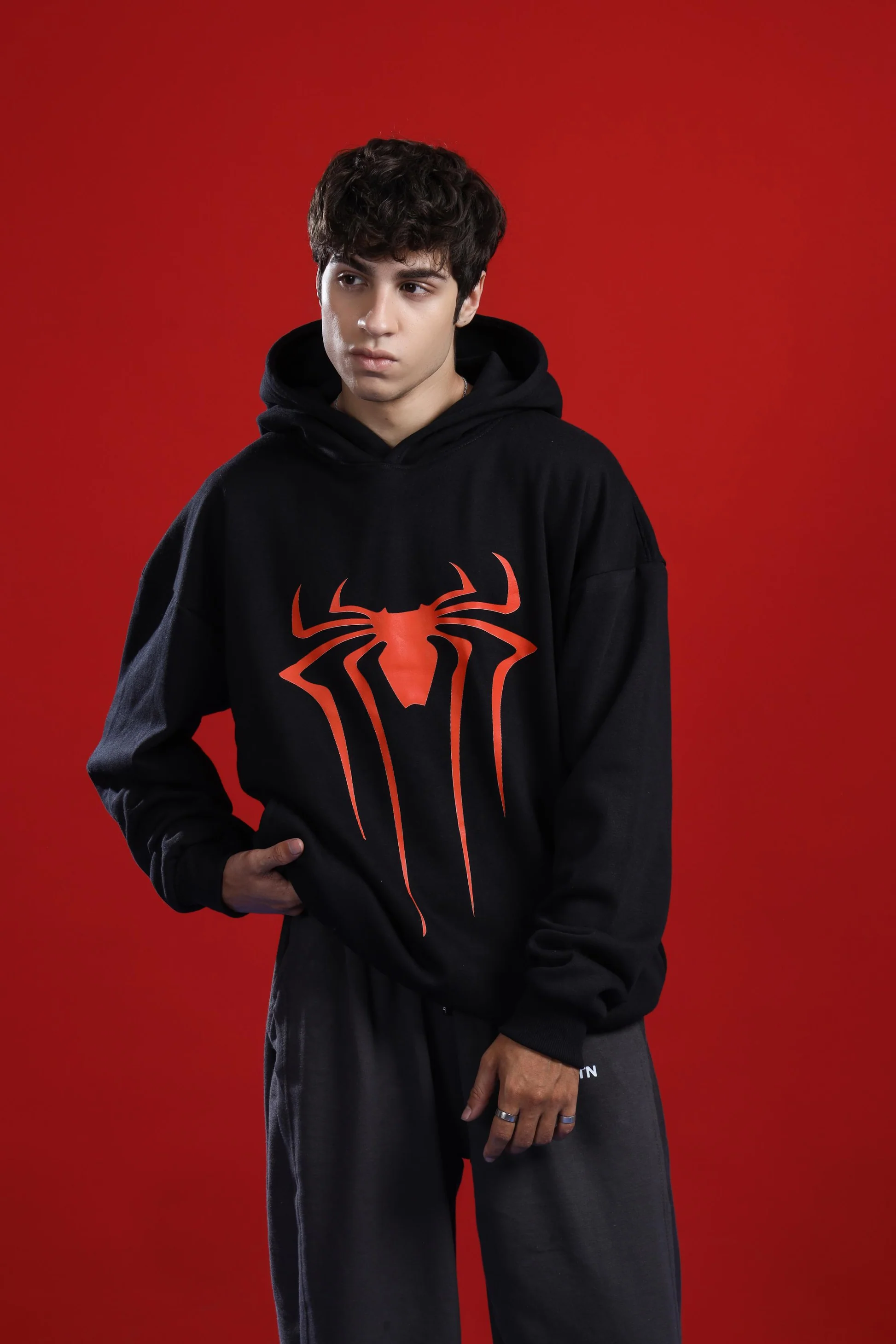 Spider Hoodie