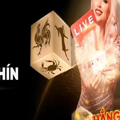 77BALL Trải Nghiệm Giải Tr&iacute; Trực Tuyến