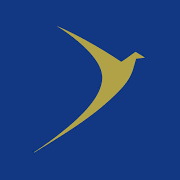 GD Goenka University